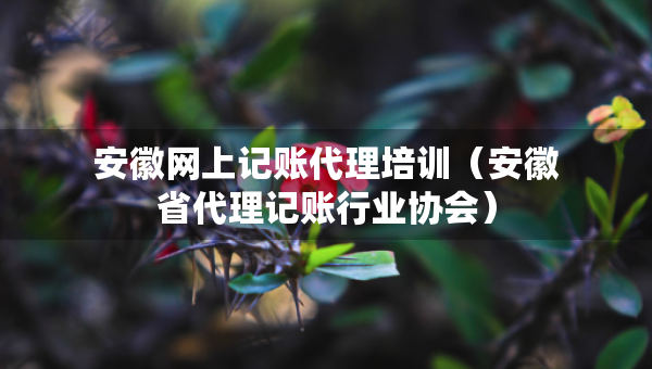 安徽網(wǎng)上記賬代理培訓（安徽省代理記賬行業(yè)協(xié)會）