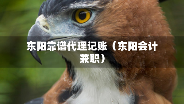 東陽靠譜代理記賬（東陽會計兼職）