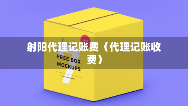 射陽(yáng)代理記賬費(fèi)（代理記賬收費(fèi)）