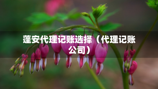 蓬安代理記賬選擇（代理記賬公司）