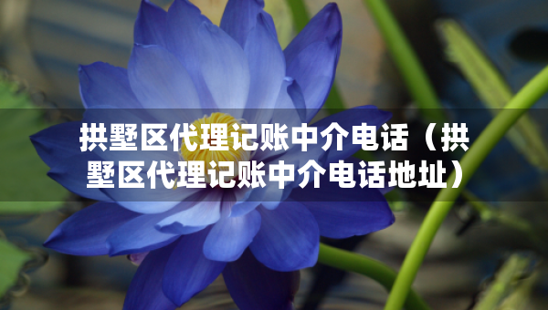 拱墅區(qū)代理記賬中介電話（拱墅區(qū)代理記賬中介電話地址）