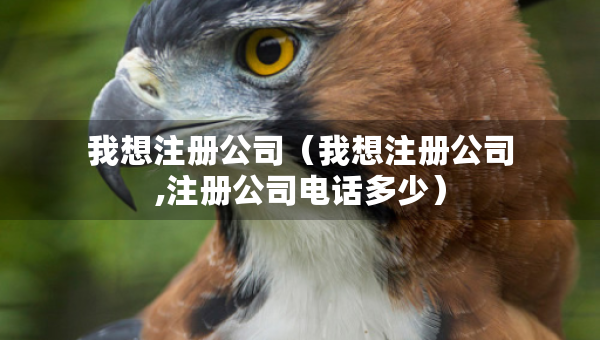 我想注冊公司（我想注冊公司,注冊公司電話多少）