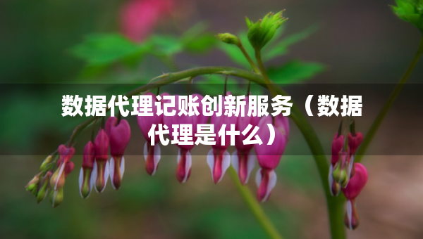 數(shù)據(jù)代理記賬創(chuàng)新服務(wù)（數(shù)據(jù)代理是什么）