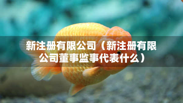 新注冊有限公司（新注冊有限公司董事監(jiān)事代表什么）