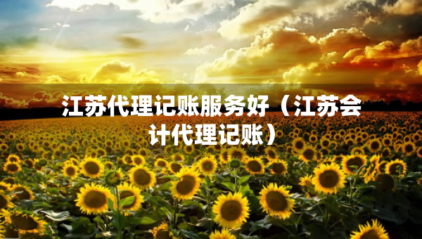 江蘇代理記賬服務(wù)好（江蘇會計代理記賬）