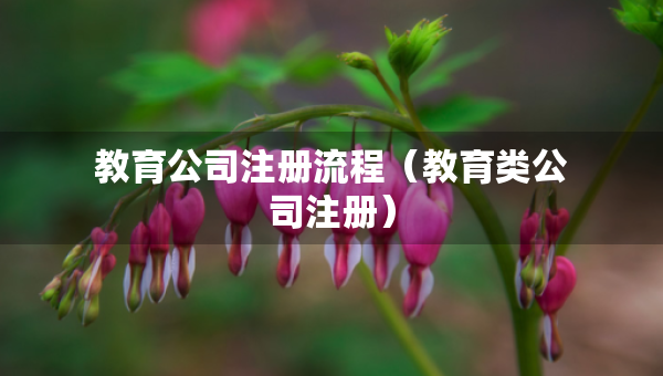 教育公司注冊流程（教育類公司注冊）