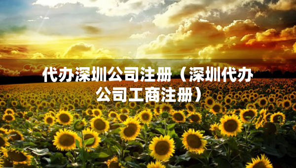 代辦深圳公司注冊(cè)（深圳代辦公司工商注冊(cè)）