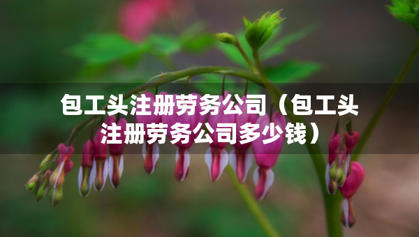 包工頭注冊(cè)勞務(wù)公司（包工頭注冊(cè)勞務(wù)公司多少錢）