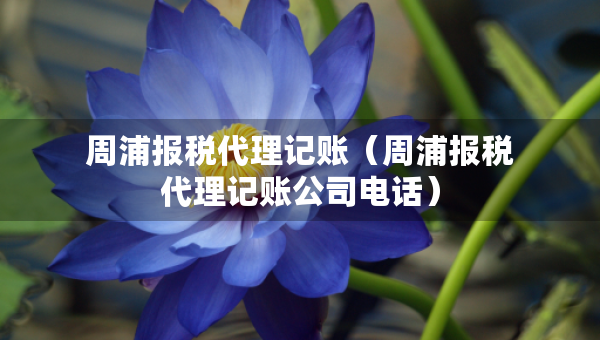 周浦報稅代理記賬（周浦報稅代理記賬公司電話）