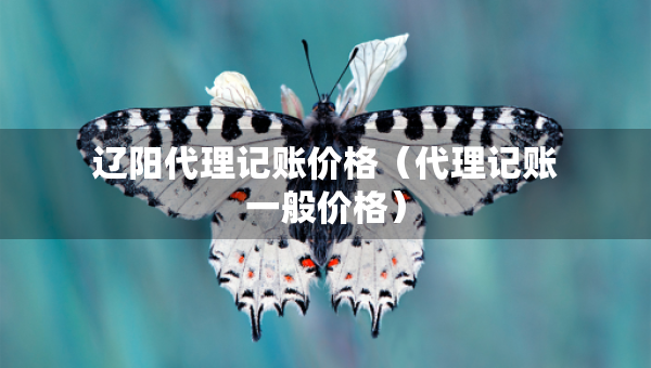 遼陽代理記賬價(jià)格（代理記賬一般價(jià)格）