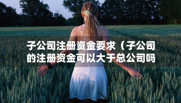 子公司注冊(cè)資金要求（子公司的注冊(cè)資金可以大于總公司嗎?）