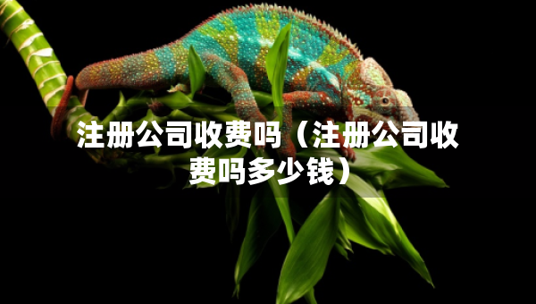 注冊(cè)公司收費(fèi)嗎（注冊(cè)公司收費(fèi)嗎多少錢）
