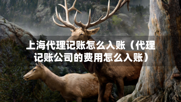 上海代理記賬怎么入賬（代理記賬公司的費(fèi)用怎么入賬）