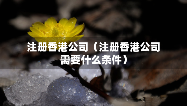 注冊(cè)香港公司（注冊(cè)香港公司需要什么條件）