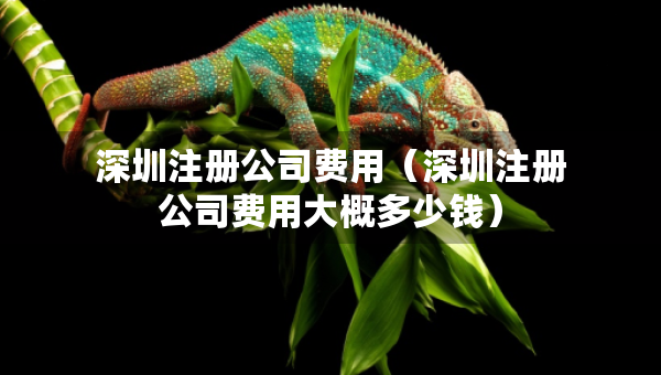 深圳注冊(cè)公司費(fèi)用（深圳注冊(cè)公司費(fèi)用大概多少錢）