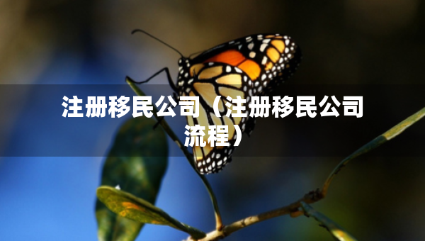 注冊移民公司（注冊移民公司流程）