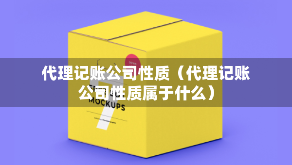 代理記賬公司性質(zhì)（代理記賬公司性質(zhì)屬于什么）