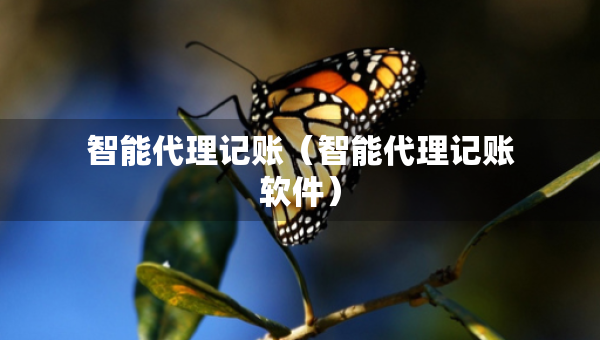 智能代理記賬（智能代理記賬軟件）