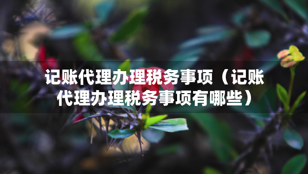 記賬代理辦理稅務(wù)事項(xiàng)（記賬代理辦理稅務(wù)事項(xiàng)有哪些）