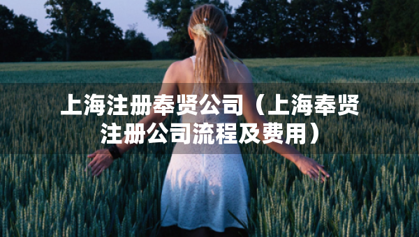 上海注冊(cè)奉賢公司（上海奉賢注冊(cè)公司流程及費(fèi)用）