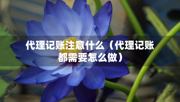 代理記賬注意什么（代理記賬都需要怎么做）