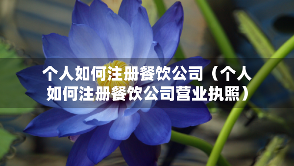個人如何注冊餐飲公司（個人如何注冊餐飲公司營業(yè)執(zhí)照）