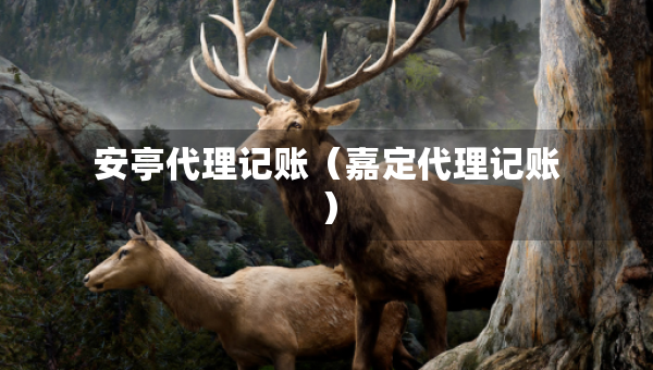 安亭代理記賬（嘉定代理記賬）