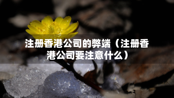 注冊香港公司的弊端（注冊香港公司要注意什么）