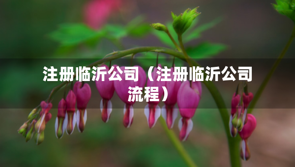 注冊臨沂公司（注冊臨沂公司流程）