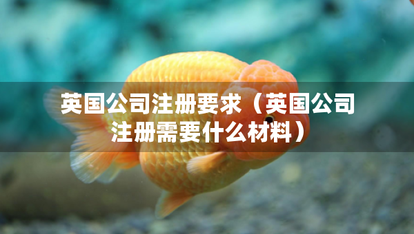 英國公司注冊要求（英國公司注冊需要什么材料）