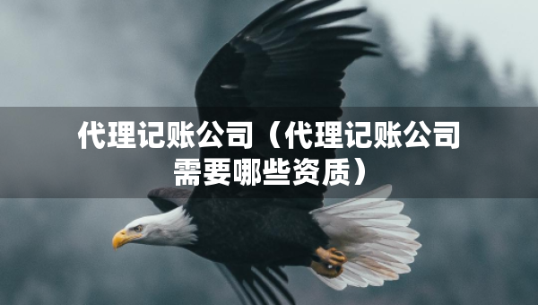 代理記賬公司（代理記賬公司需要哪些資質(zhì)）