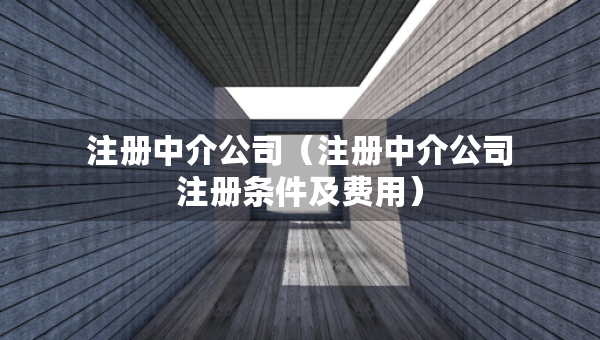 注冊中介公司（注冊中介公司注冊條件及費用）