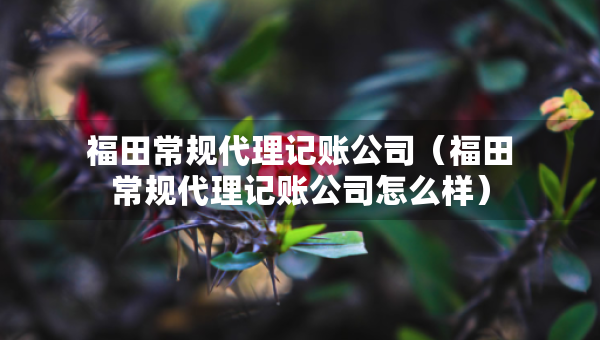 福田常規(guī)代理記賬公司（福田常規(guī)代理記賬公司怎么樣）