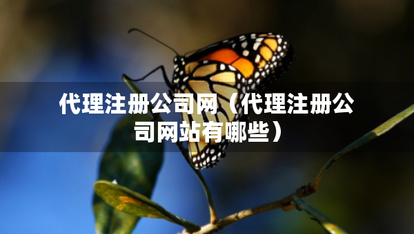 代理注冊(cè)公司網(wǎng)（代理注冊(cè)公司網(wǎng)站有哪些）
