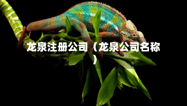 龍泉注冊(cè)公司（龍泉公司名稱）