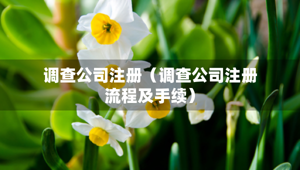 調(diào)查公司注冊(cè)（調(diào)查公司注冊(cè)流程及手續(xù)）