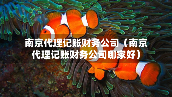 南京代理記賬財務(wù)公司（南京代理記賬財務(wù)公司哪家好）