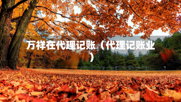 萬祥在代理記賬（代理記賬業(yè)）