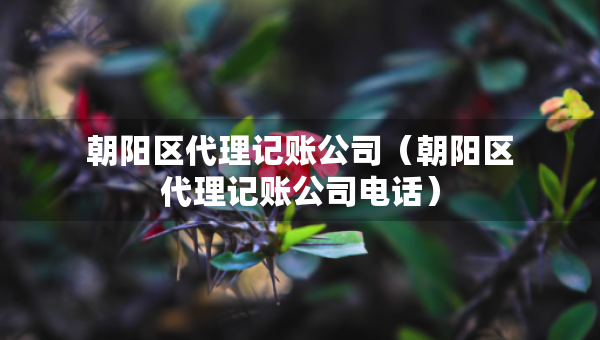 朝陽區(qū)代理記賬公司（朝陽區(qū)代理記賬公司電話）