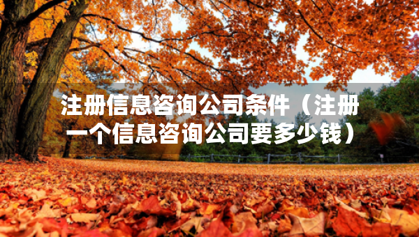 注冊(cè)信息咨詢公司條件（注冊(cè)一個(gè)信息咨詢公司要多少錢）
