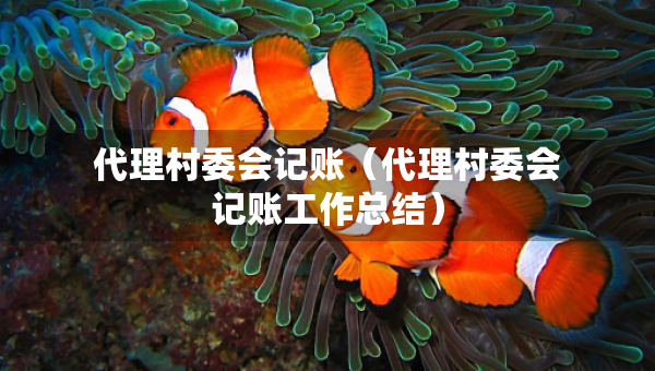 代理村委會記賬（代理村委會記賬工作總結(jié)）