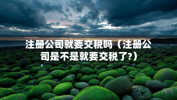 注冊(cè)公司就要交稅嗎（注冊(cè)公司是不是就要交稅了?）