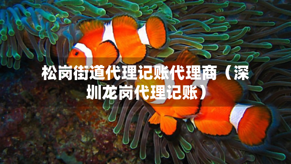 松崗街道代理記賬代理商（深圳龍崗代理記賬）