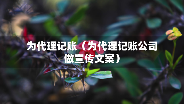 為代理記賬（為代理記賬公司做宣傳文案）