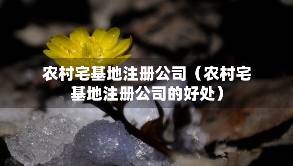 農(nóng)村宅基地注冊公司（農(nóng)村宅基地注冊公司的好處）
