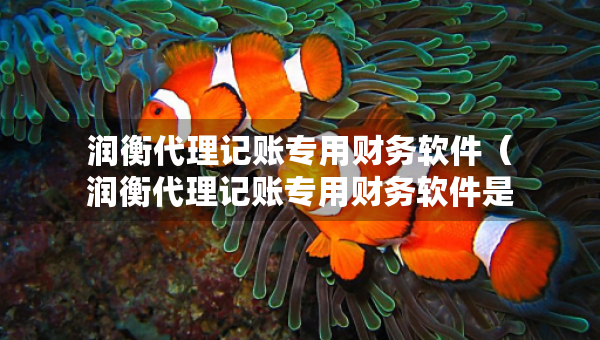 潤衡代理記賬專用財務軟件（潤衡代理記賬專用財務軟件是什么）