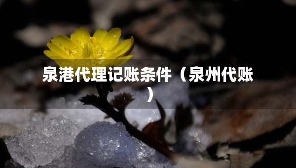 泉港代理記賬條件（泉州代賬）