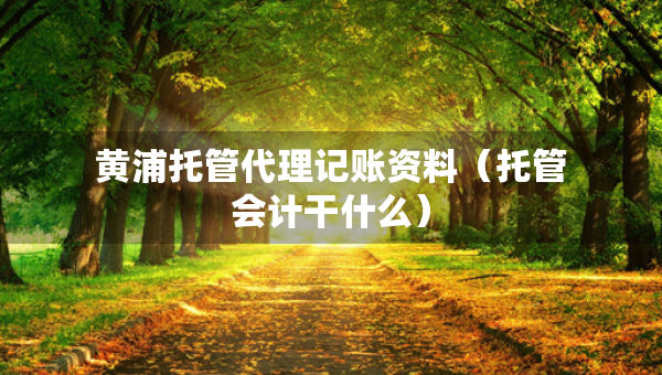 黃浦托管代理記賬資料（托管會計干什么）