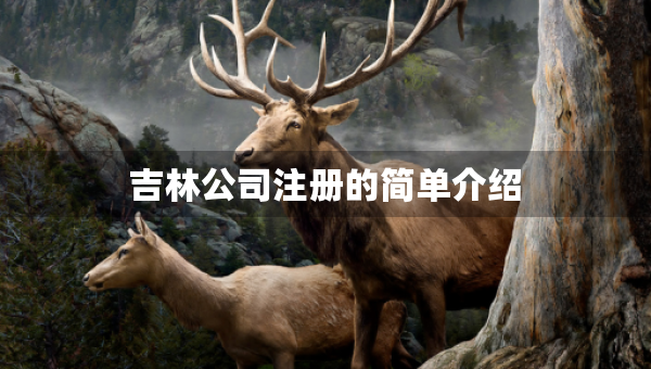 吉林公司注冊的簡單介紹