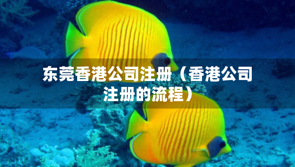 東莞香港公司注冊（香港公司注冊的流程）